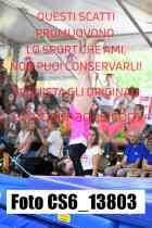 CS6_13803-