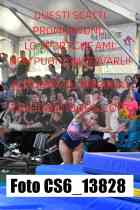 CS6_13828-