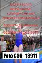 CS6_13911-