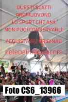 CS6_13966-
