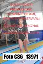 CS6_13971-