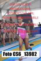 CS6_13982-