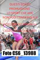 CS6_13988-