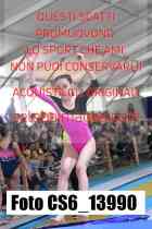 CS6_13990-