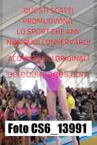 CS6_13991-