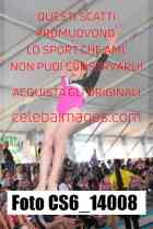 CS6_14008-