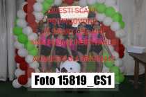 15819_CS1-