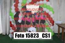 15823_CS1-
