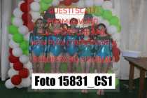 15831_CS1-