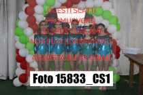 15833_CS1-