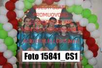 15841_CS1-