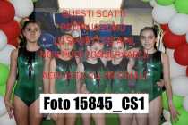 15845_CS1-