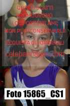 15865_CS1-