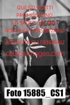 15885_CS1-