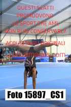 15897_CS1-