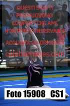 15908_CS1-