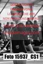 15937_CS1-