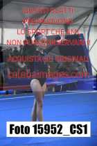 15952_CS1-