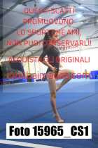 15965_CS1-