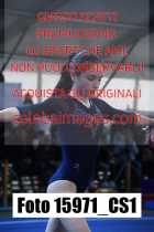 15971_CS1-