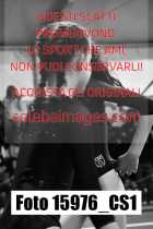 15976_CS1-