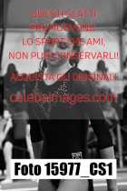 15977_CS1-