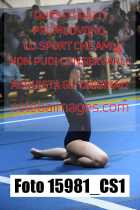 15981_CS1-