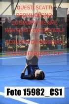 15982_CS1-