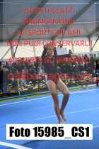 15985_CS1-