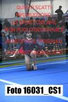 16031_CS1-