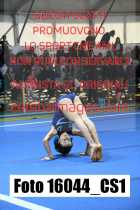 16044_CS1-