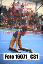 16071_CS1-