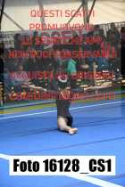 16128_CS1-