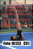 16133_CS1-