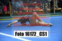 16172_CS1-