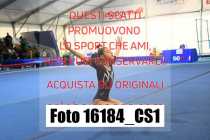 16184_CS1-