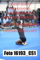 16193_CS1-