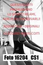 16204_CS1-