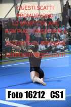 16212_CS1-