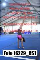 16229_CS1-