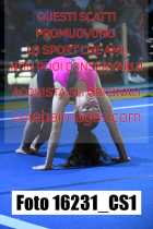 16231_CS1-