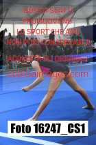 16247_CS1-