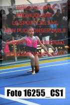 16255_CS1-