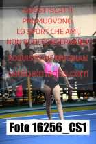 16256_CS1-