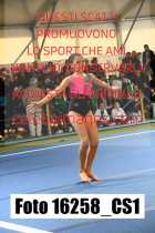 16258_CS1-