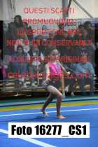 16277_CS1-