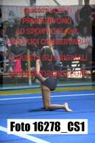 16278_CS1-