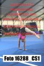 16288_CS1-