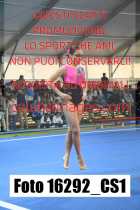 16292_CS1-