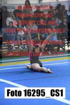16295_CS1-
